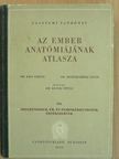 Dr. Kiss Ferenc - Az ember anatómiájának atlasza III. (töredék) [antikvár]