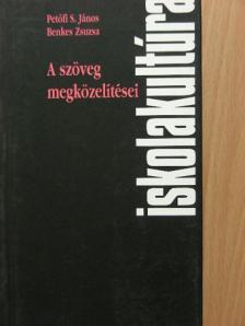 Benkes Zsuzsa - A szöveg megközelítései [antikvár]