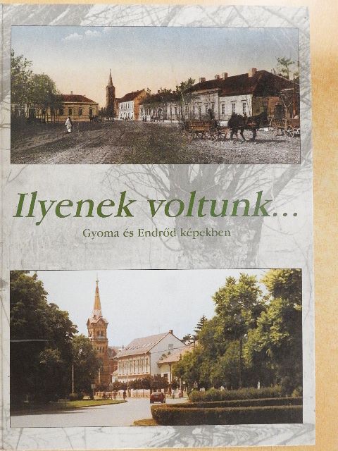 Ilyenek voltunk... [antikvár]