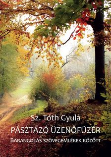 Sz. Tóth Gyula - Pásztázó üzenőfüzér