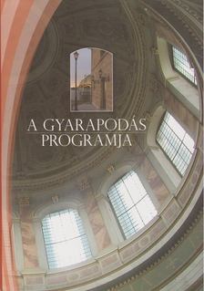 Meggyes Tamás - A gyarapodás programja [antikvár]