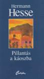 Hermann Hesse - Pillantás a káoszba [antikvár]