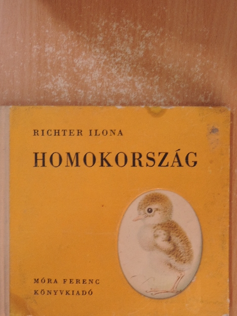 Richter Ilona - Homokország [antikvár]