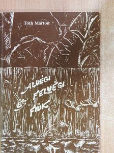 Tóth Márton - Alvégi és felvégi fiúk [antikvár]