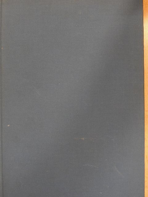 A New Dictionary of British History [antikvár]