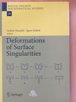 Klaus Altmann - Deformations of Surface Singularities [antikvár]