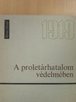 Rotter József - A proletárhatalom védelmében [antikvár]