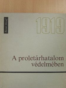 Rotter József - A proletárhatalom védelmében [antikvár]