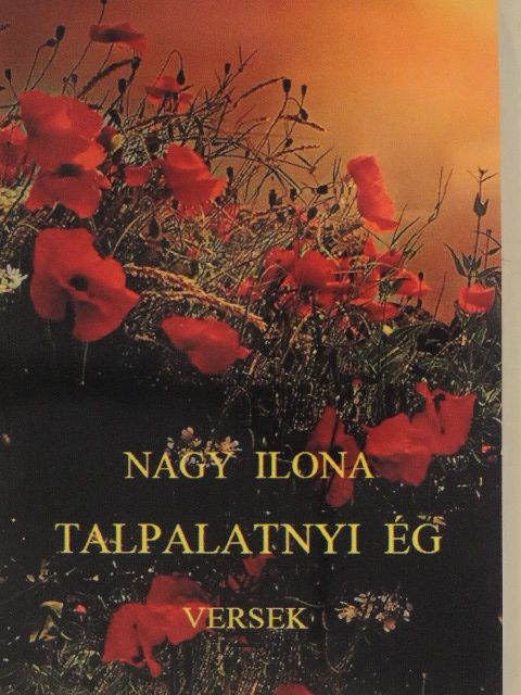 Nagy Ilona - Talpalatnyi ég [antikvár]