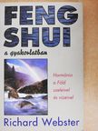 Richard Webster - Feng shui a gyakorlatban [antikvár]