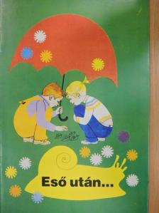 Rogán Ágnes - Eső után... [antikvár]