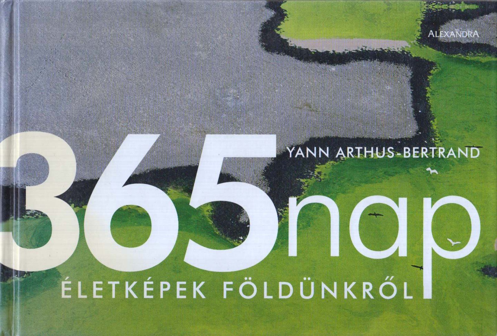 Yann Arthus-Bertrand - 365 nap [antikvár]