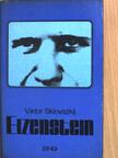 Viktor Sklovszkij - Eizenstein [antikvár]