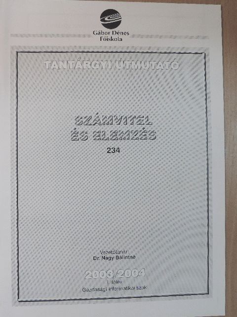 Dr. Nagy Bálintné - Számvitel és elemzés [antikvár]