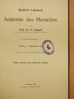Prof. Fr. Kopsch - Rauber's Lehrbuch der Anatomie des Menschen Abteilung 1. (töredék) [antikvár]
