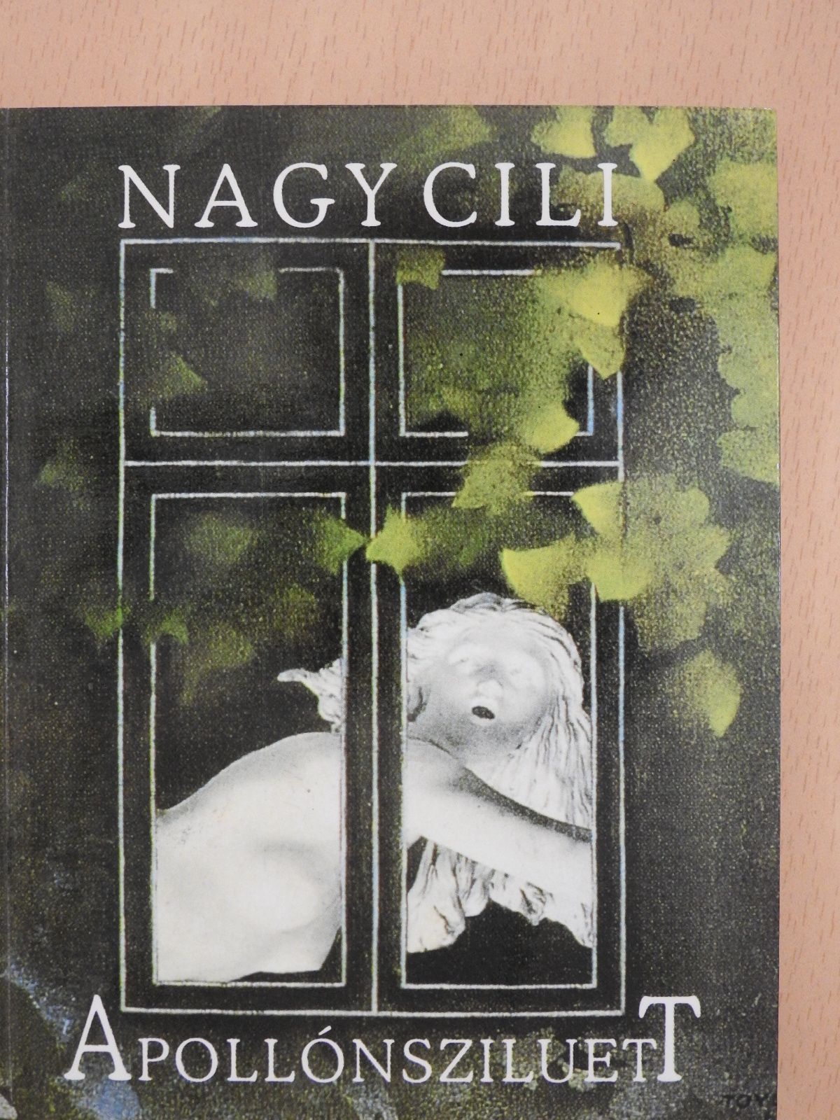 Nagy Cili - Apollónsziluett (aláírt példány) [antikvár]