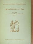 Adam Mickiewicz - Prométheusz tüze [antikvár]