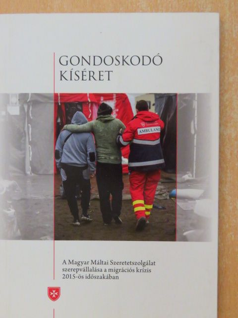 Győri-Dani Lajos - Gondoskodó kíséret [antikvár]