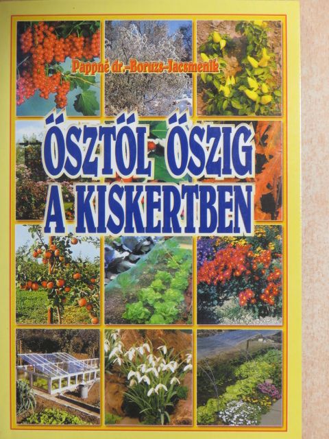 Boruzs János - Ősztől őszig a kiskertben [antikvár]