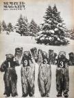 Nemzeti Magazin 1933. január 1.-december 17. [antikvár]
