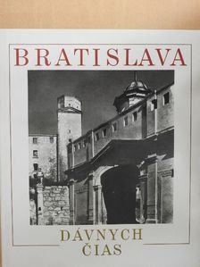 Bratislava dávnych cias [antikvár]