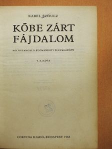 Karel Schulz - Kőbe zárt fájdalom [antikvár]