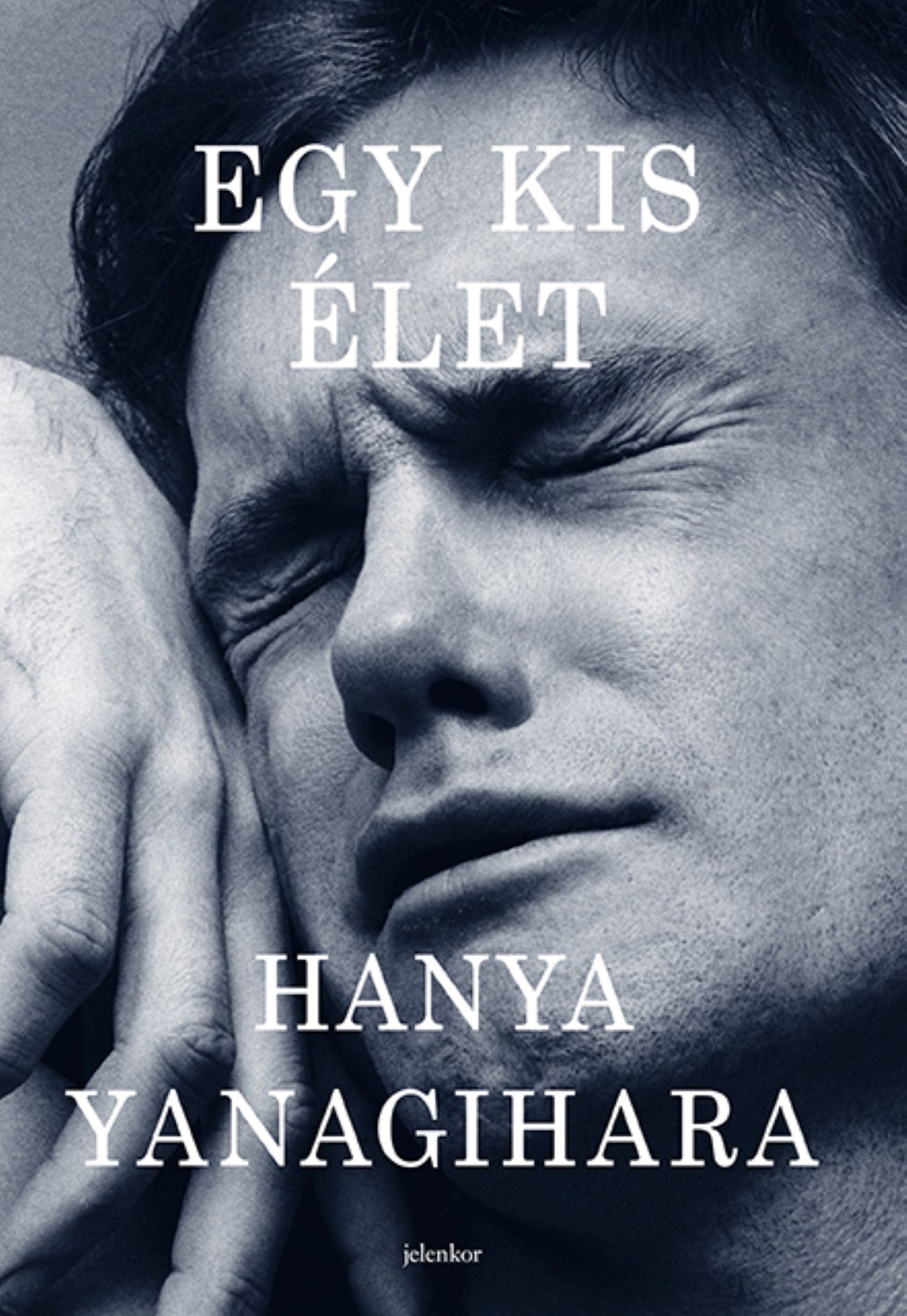 Hanya Yanagihara - Egy kis élet