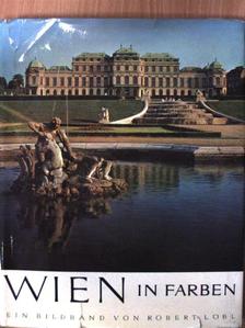 Paula Grogger - Wien in Farben [antikvár]