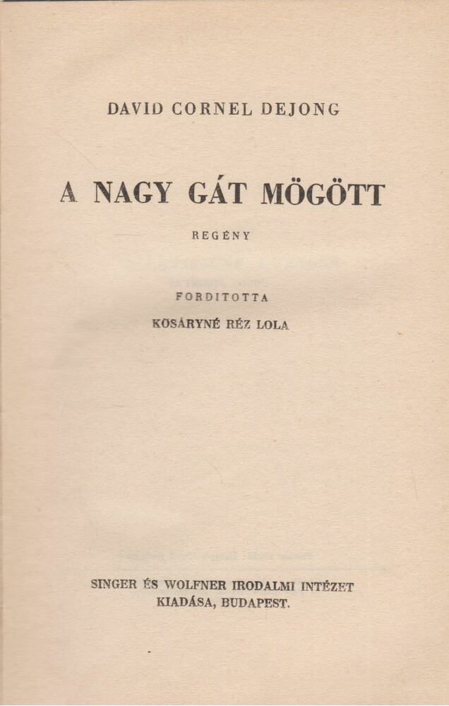 Cornel Dejong, David - A nagy gát mögött [antikvár]