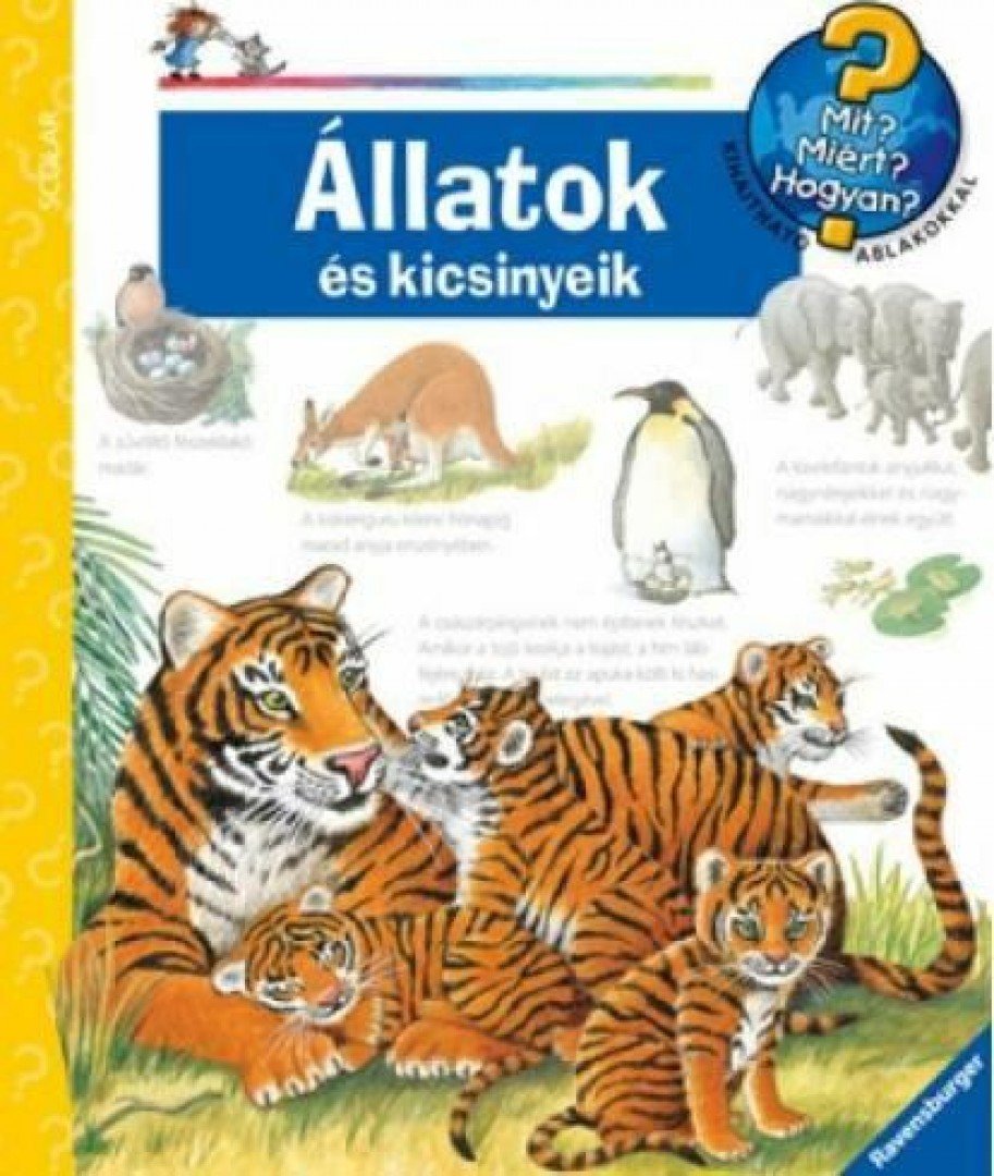 Doris Rübel - Állatok és kicsinyeik  - Mit? Miért? Hogyan? [antikvár]