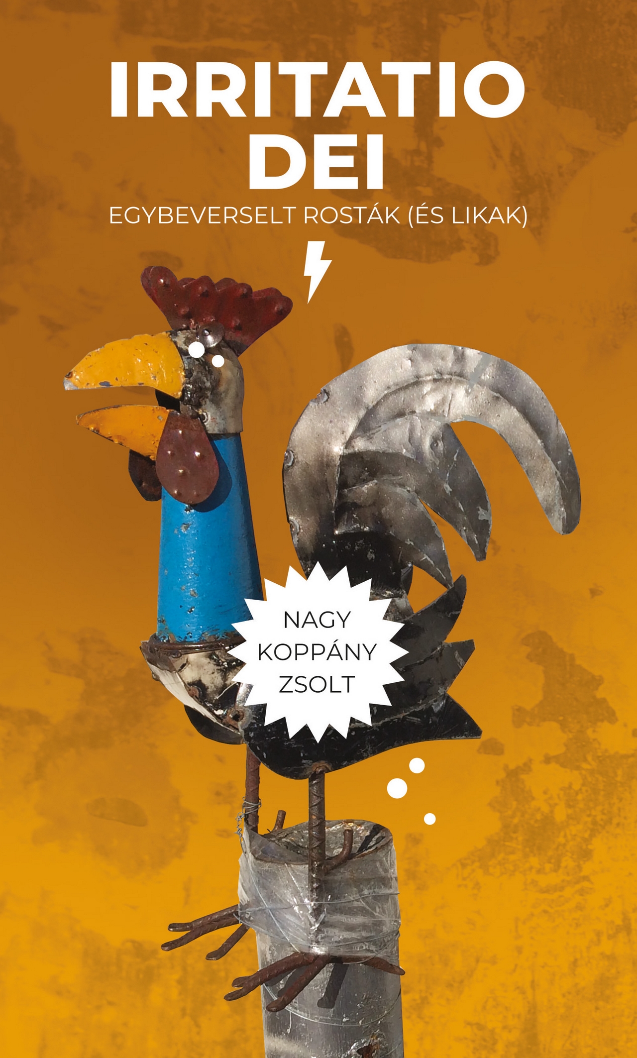 NAGY KOPPÁNY ZSOLT - Irritatio Dei