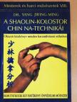 Dr. Yang Jwing-Ming - A Shaolin-kolostor Chin Na-technikái [antikvár]