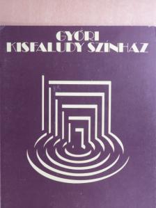 Belicska-Scholtz Hedvig - Győri Kisfaludy Színház [antikvár]