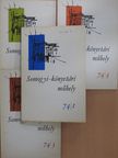 Czirok Sándor - Somogyi-könyvtári műhely 74/1-4 [antikvár]