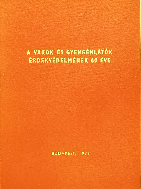 Daru Gerőné - A vakok és gyengénlátók érdekvédelmének 60 éve [antikvár]