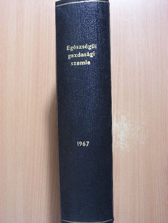 Áldor Tibor - Egészségügyi Gazdasági Szemle 1967/1-4./Melléklet [antikvár]