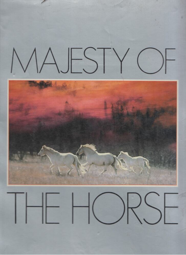Marietta Witthlesey - Majesty of the Horse [antikvár]