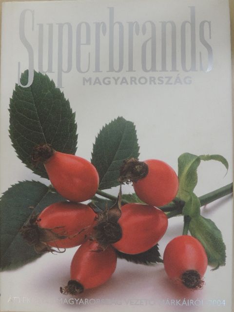 Angyal Ágnes - Superbrands Magyarország [antikvár]
