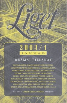 Horgas Béla, Levendel Júlia - Liget 2003/1. szám [antikvár]