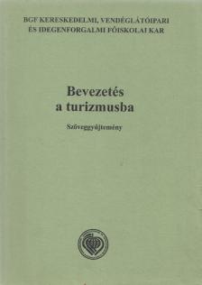 Dr. Tóth Zoltán - Bevezetés a turizmusba [antikvár]