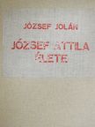 József Jolán - József Attila élete [antikvár]