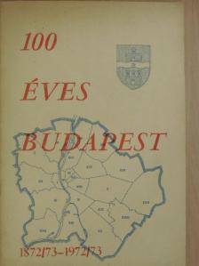 Dr. Viszkei Mihály - 100 éves Budapest [antikvár]