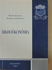 Daruka Magdolna - Mikroökonómia [antikvár]