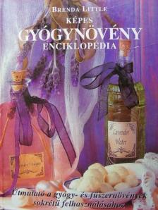 Brenda Little - Képes gyógynövény enciklopédia [antikvár]