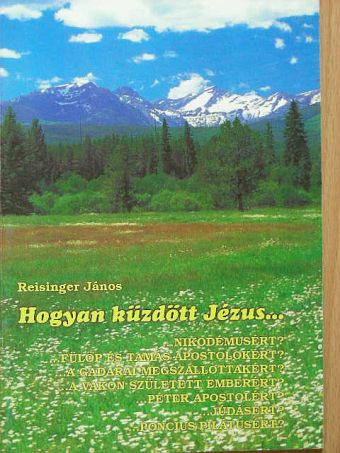 Reisinger János - Hogyan küzdött Jézus... [antikvár]