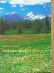 Reisinger János - Hogyan küzdött Jézus... [antikvár]