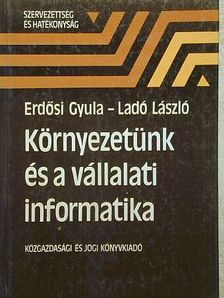 Erdősi Gyula - Környezetünk és a vállalati informatika [antikvár]