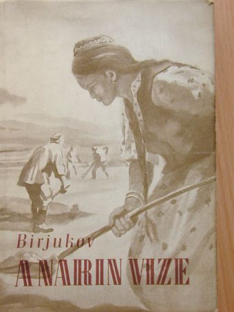 N. Birjukov - A Narin vize [antikvár]