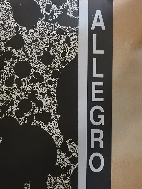 Adorján Péter - Allegro 1994/1. [antikvár]