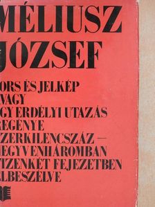 Méliusz József - Sors és jelkép [antikvár]